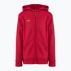 Capelli Basics Youth Zip Football Hoodie red