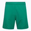 Capelli Sport Cs One Adult Match green/white children's football shorts