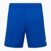 Capelli Sport Cs One Adult Match football shorts royal blue/white