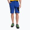 Men's Salewa Pedroc 3 DST Cargo trekking shorts navy blue 00-0000028601