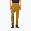 Men's trekking trousers Salewa Fanes Light golden brown