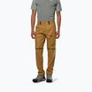 Men's trekking trousers Salewa Puez Hemp/Dst 2/1 golden brown