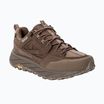 Men's trekking shoes Jack Wolfskin Terraquest Texapore Low gecko bear