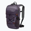 Jack Wolfskin Cyrox Shape 15 l hiking backpack dark grape