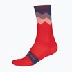 Men's Endura Jagged cycling socks pomegranate