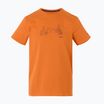 Men's trekking T-shirt REGATTA Breezed V fox