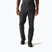 Men's trekking trousers REGATTA Highton II ash