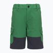 Children's trekking shorts LEGO Lwpayton 300 green 11010121