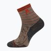 Alpinus Kuldiga socks brown