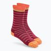 Darn Tough Morgan women's socks burgundy