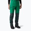 Helly Hansen men's trekking trousers Verglas Tur green 63000_486