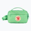 Fjällräven Kanken 663 apple mint kidney bag