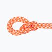 Mammut 9.5 Crag Classic climbing rope orange