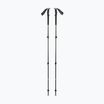 Black Diamond Trail Trekking poles pine smoke