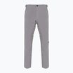 Men's Dainese Dermizax Ev silver/filigree ski trousers