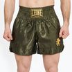 Men's boxer shorts LEONE 1947 Basic 2 green
