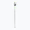 Fizan Compact green S20 7101 trekking poles