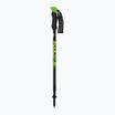 Fizan Compact green S20 7101 trekking poles