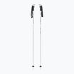 Fizan Action Pro white ski poles