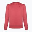 Champion Rochester men's sweatshirt dark red