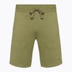 Champion Rochester men's shorts dark green