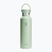 Hydro Flask Standard Flex 620 ml aloe thermal bottle