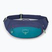 Osprey Daylite Waist 2 l blue spikemoss/alkaline kidney pouch