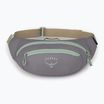 Waistbag Osprey Daylite Waist 2 l soundwave grey/ latte brown