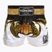 Training shorts Top King Kickboxing multicolour