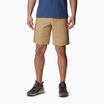 Columbia Washed Out men's trekking shorts brown 1491953243