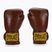 Everlast 1910 Classic Pro brown boxing gloves EV1910PRO