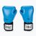 Everlast Pro Style 2 blue boxing gloves EV2120 BLU