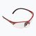 Squash glasses Dunlop Competition Eyewear Protective red/clear