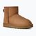 Women's snow boots UGG Classic Mini II chestnut