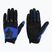 Men's cycling gloves Fox Racing Dirtpaw blue