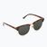 Men's Vans Dunville Shades cheetah tortoise sunglasses