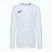 Nike Dri-Fit Park VII children's football longsleeve white/black