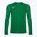 Men's Nike Dri-FIT Park 20 Crew pine green/white football longsleeve