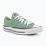 Converse Chuck Taylor All Star Classic Ox herby trainers