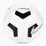 Nike Pitch Training football white/black/silver size 5