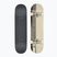 Classic skateboard Globe G0 Strype Hard black/off-white