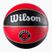 Wilson NBA Team Tribute Toronto Raptors basketball WTB1300XBTOR size 7