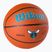 Wilson NBA Team Alliance Charlotte Hornets basketball WTB3100XBCHA size 7