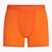 Men's thermal boxer shorts icebreaker Anatomica blaze