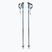 Salomon Polar Pro ski poles copen blue