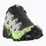 Men's running shoes Salomon Speedcross 6 GTX black/alloy/green gecko