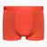 Men's thermal boxer shorts icebreaker Anatomica Cool-Lite red 105223