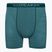 Icebreaker Anatomica Greenglory men's thermal boxer shorts 103029
