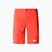 Men's The North Face Speedlight Slim Tapered trekking shorts red NF0A826915Q1