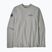 Men's Patagonia Lightweight Unity Fitz Wildrise Crew sweatshirt salt grey